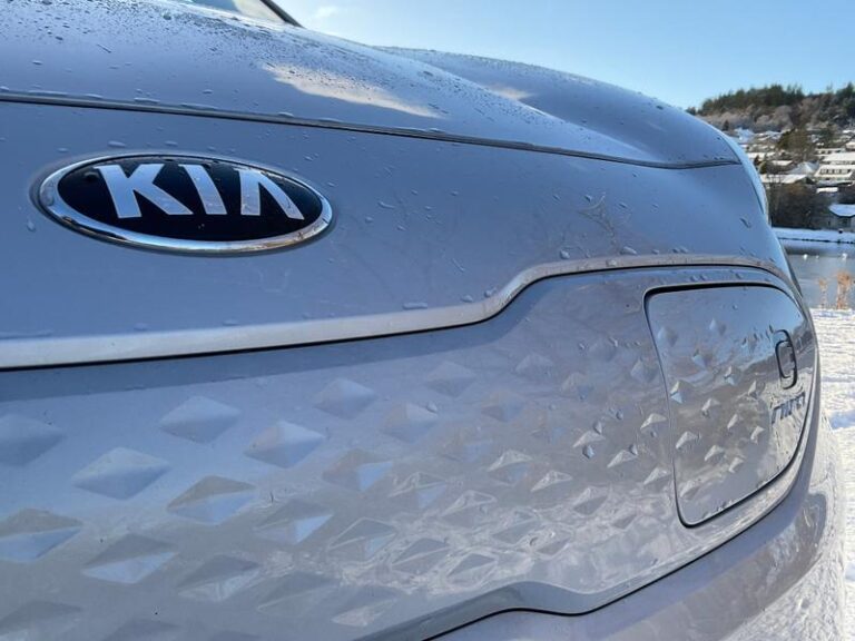 Kia e-Niro 64 kWh 4